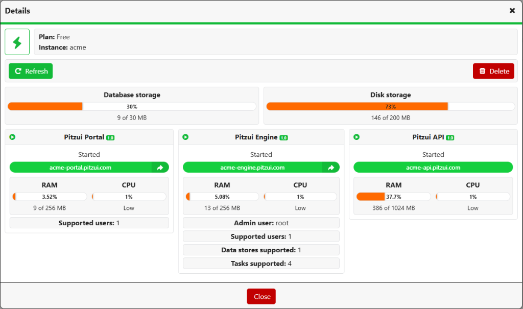 Instance Deployment in Pitzui